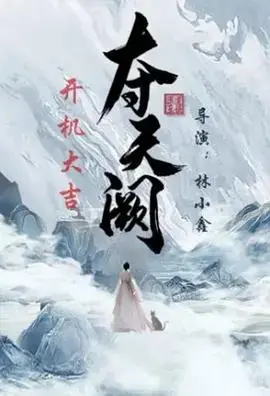 夺天阙 海报