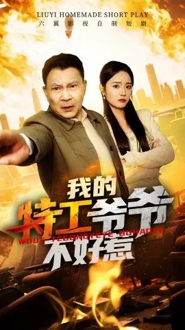 我的特工爷爷不好惹 海报