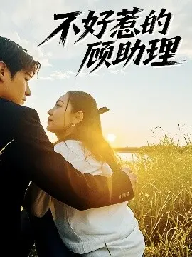 《不好惹的顾助理》：职场逆袭记，顾助理的傲娇与蜕变
