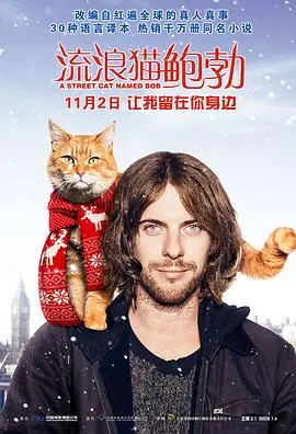《流浪猫鲍勃》：一只猫，一部电影，温暖你整个冬天！真实故事改编，治愈力MAX！