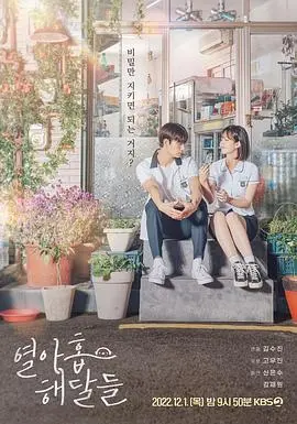 《十九只海獭》：萌力爆棚的治愈系动画，让你瞬间忘却烦恼，重拾童真！